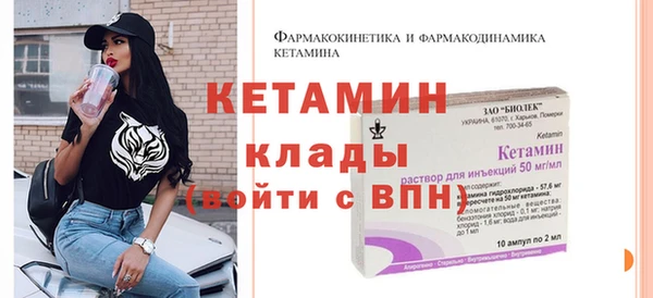 прущие крисы Бородино