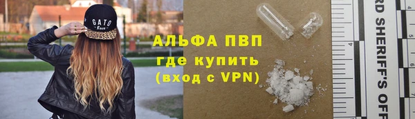 прущие крисы Бородино
