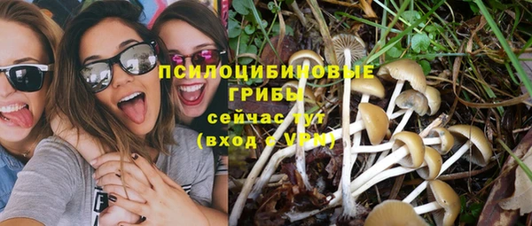 прущие крисы Бородино