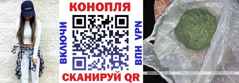где продают наркотики  omg зеркало  Каннабис ГИДРОПОН  Липецк 
